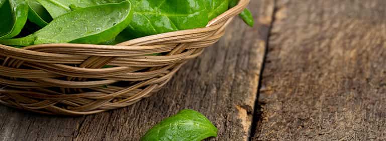 Acido folico in gravidanza