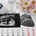 Immagine di copertina di Settimane di gravidanza, il diario mese per mese